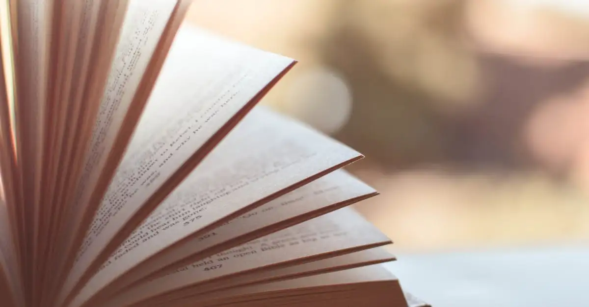 Professionelles Online Korrektorat und Lektorat Ihrer Texte