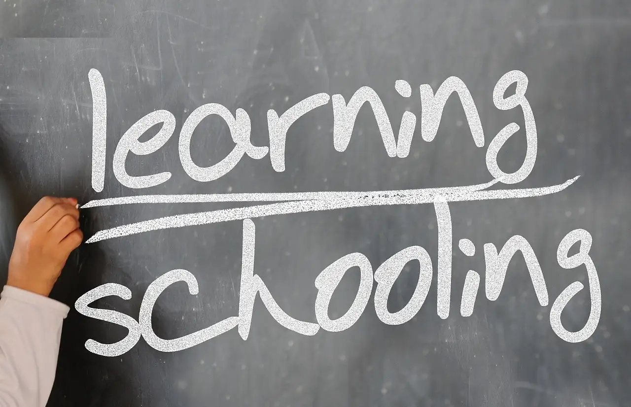 Redakteur Volontariat: Ausbildung und Karrierechancen